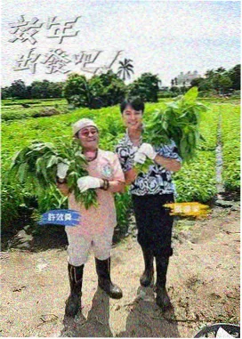 影视资讯 磁力资源